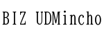 BIZ UDMincho