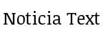 Noticia Text
